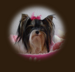 homefoto
