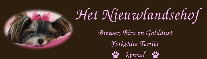 titel kop